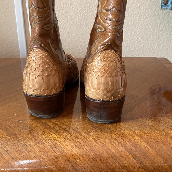 Dan post tan pythons 9D - Picture 3 of 3